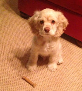 Meet your Posher, Jaclyn